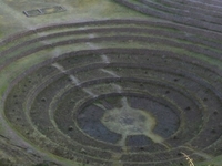 Moray