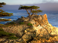 17 Mile Drive 17 Mile Drive