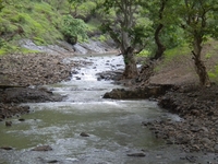 Stream Stream