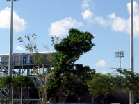 Lockhart Stadium