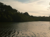 Lane Cove River
