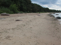 Aa