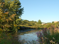 Alewife Brook Reservation