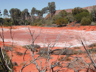 Alice Springs Desert Park