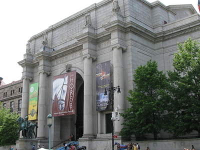 American Museum Of Natural History