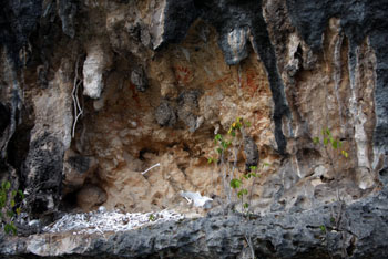 Ancient Sites of Kokas