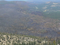 Angora Peak