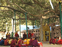 Animesh Lochana Chaitya