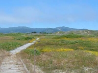 Año Nuevo State Park Año Nuevo State Park