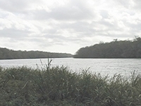 Apalachicola River
