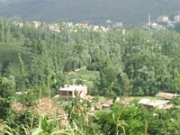 Golkoy