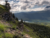 Apikuni Falls Trail