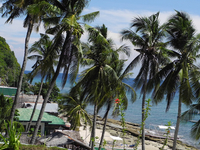 Apo Island