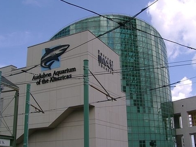 Aquarium of the Americas