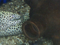 Matsyadarshini Aquarium Matsyadarshini Aquarium