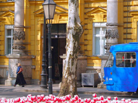 Archeological Museum