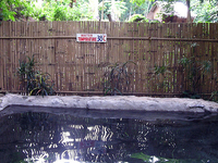 Ardent Hot Spring Ardent Hot Spring