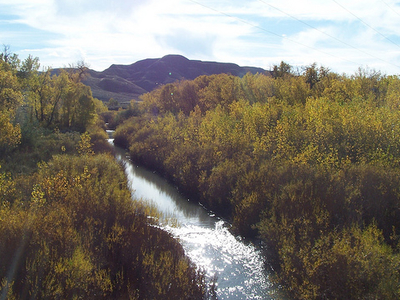 Arrow Creek