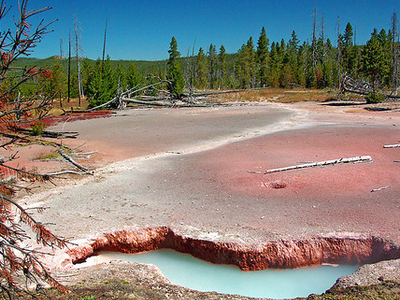 Artist Paint Pots Trail