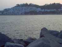 Manzanillo Manzanillo