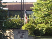 Auburn
