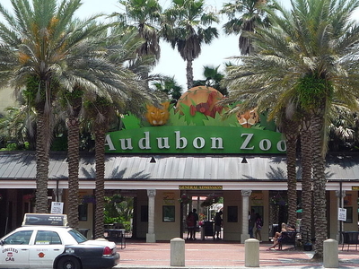 Audubon Zoo