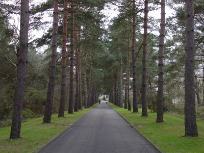 Brookwood