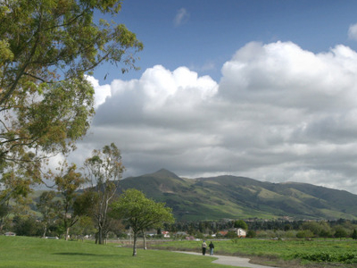 Fremont