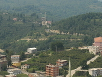 Camas Camas