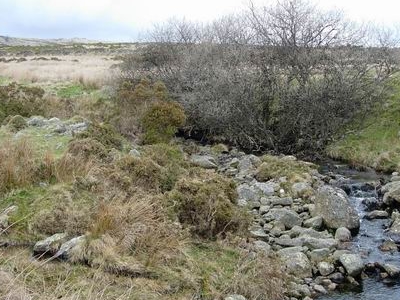 Afon Dulyn