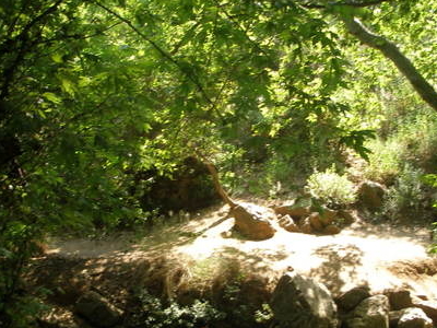 San Jose de los Arroyos