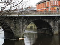 Anna Livia Bridge