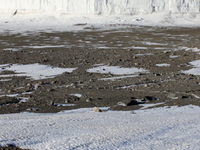 Commonwealth Glacier