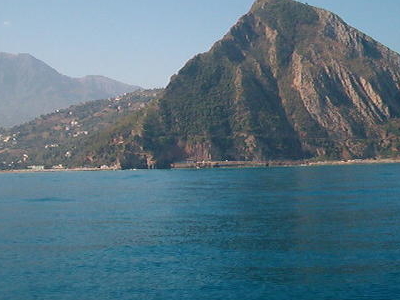 Aokas