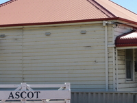 Ascot Ascot