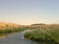 Azraq Wetland Reserve