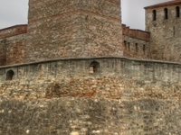 Vidin