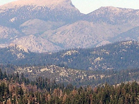 Bald Mountain
