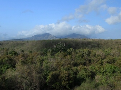 West Bali National Park Indonesia Tourist Information