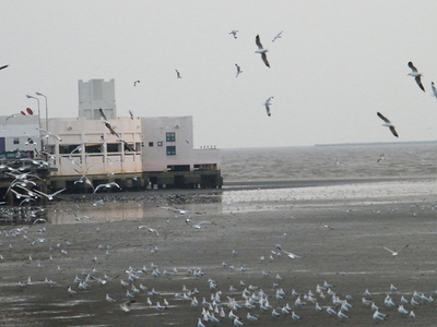 Bang Pu Seaside Bang Pu Seaside