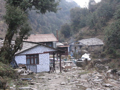 Banthanti 8