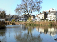 Barnes Barnes
