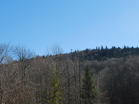 Barton Knob
