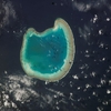 Bassas da India