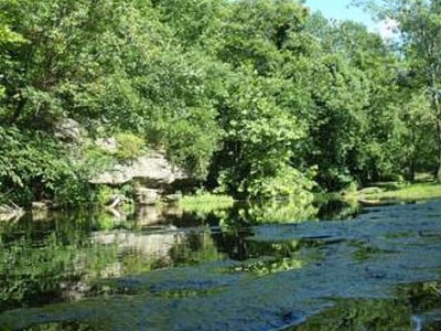 Battle of Carthage State Historic Site