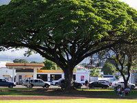 Hilo