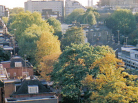 Bayswater Bayswater