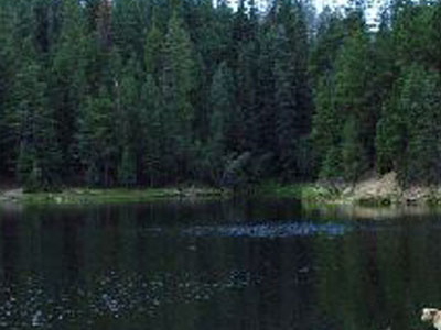 Bear Canyon Lake