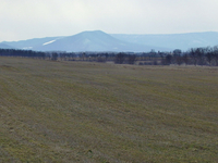 Bear Pond Mountains