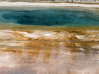 Beauty Pool Beauty Pool